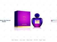 Banderas Her Secret Desire