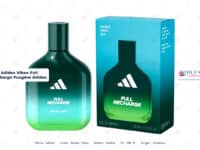 Adidas Vibes Full Recharge Fougére