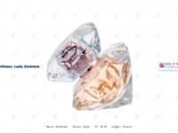 Montblanc Lady Emblem